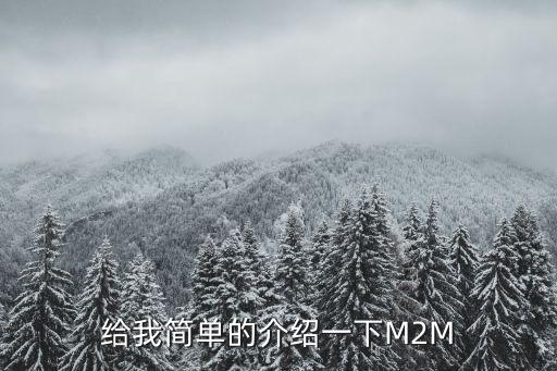 m2m，什么是M2M