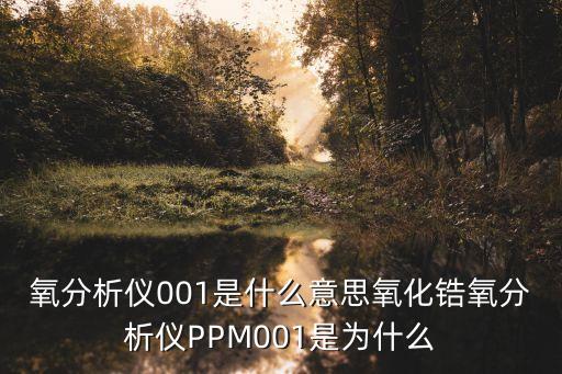 氧分析儀001是什么意思氧化鋯氧分析儀PPM001是為什么