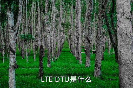 LTE DTU是什么