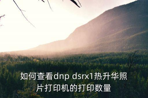 如何查看dnp dsrx1熱升華照片打印機的打印數(shù)量