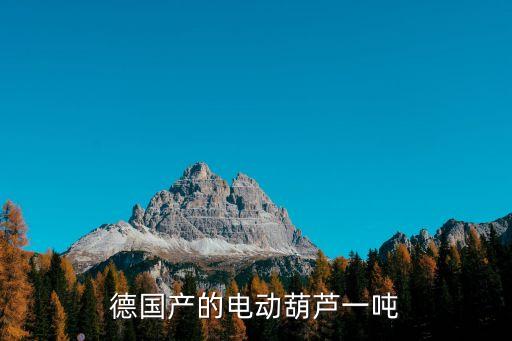 德國(guó)產(chǎn)的電動(dòng)葫蘆一噸
