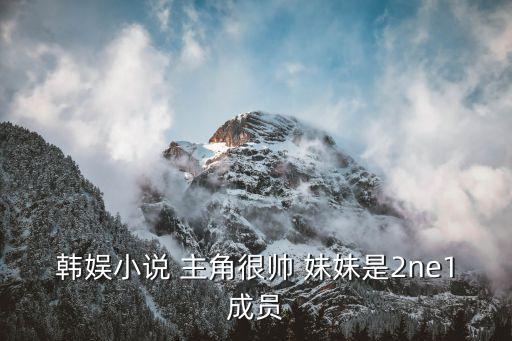 韓娛小說 主角很帥 妹妹是2ne1成員