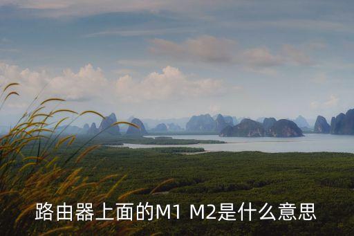 m1m2，什么叫M1M2經(jīng)濟(jì)數(shù)據(jù)