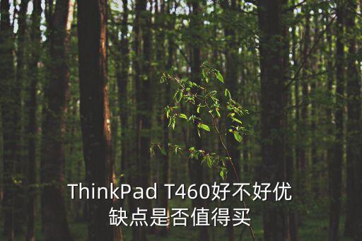 ThinkPad T460好不好優(yōu)缺點是否值得買