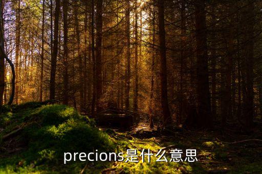 precions是什么意思