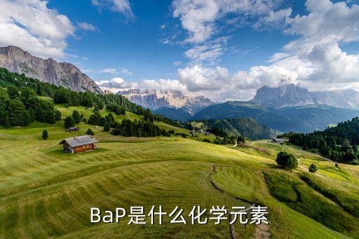 bap，BaP是什么化學(xué)元素