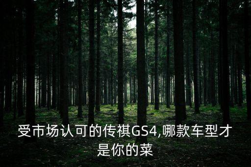 受市場認可的傳祺GS4,哪款車型才是你的菜