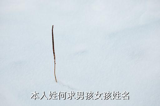 何文博，中國(guó)叫何文博有多少人