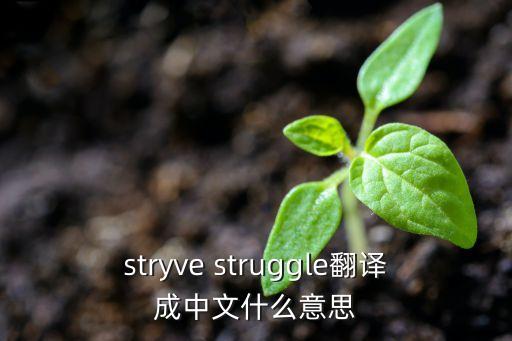 stryve struggle翻譯成中文什么意思