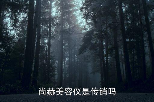 尚赫美容儀，尚赫美容儀怎么樣