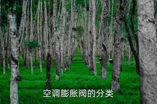 空調(diào)膨脹閥的分類(lèi)