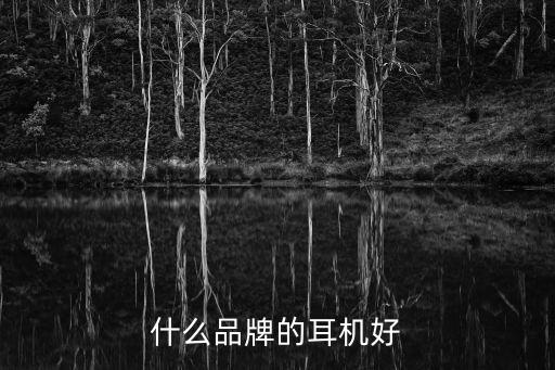 耳機什么品牌的好，什么品牌的耳機好