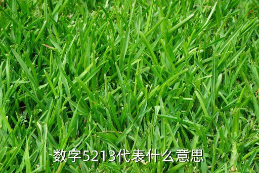 數(shù)字5213代表什么意思