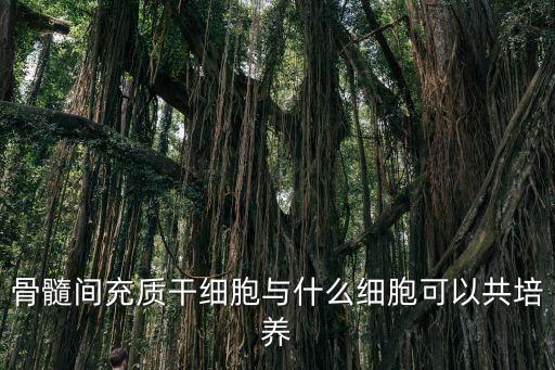 共培養(yǎng)，細(xì)胞共培養(yǎng)是什么意思