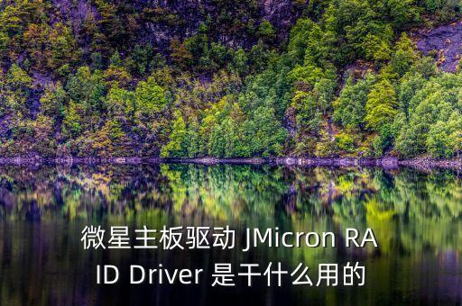 微星主板驅(qū)動(dòng) JMicron RAID Driver 是干什么用的