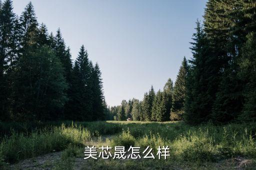 美芯晟怎么樣