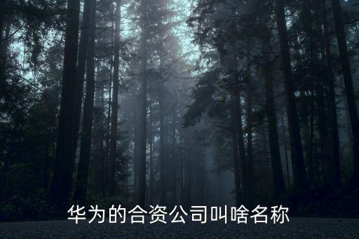 華為的合資公司叫啥名稱