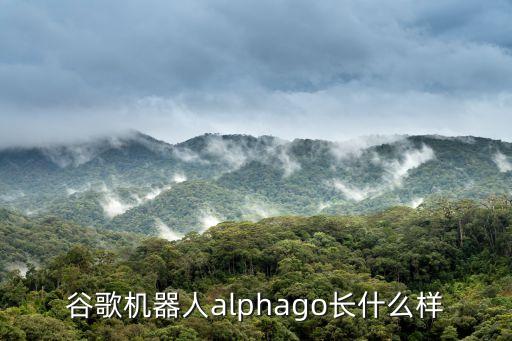 谷歌機器人，為什么優(yōu)必選公司的機器人叫阿爾法谷歌的人工智能也叫阿爾法啊