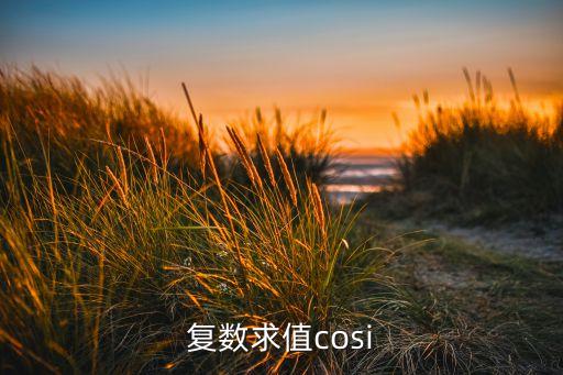 復(fù)數(shù)求值cosi
