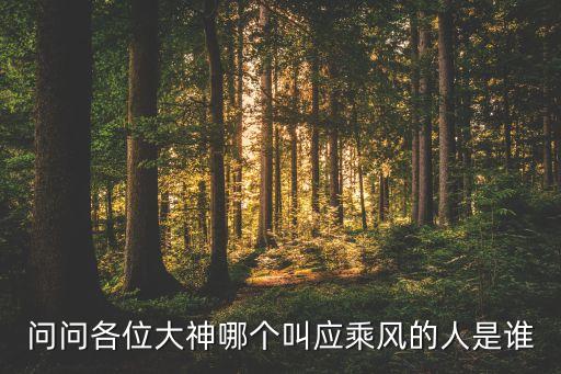 問(wèn)問(wèn)各位大神哪個(gè)叫應(yīng)乘風(fēng)的人是誰(shuí)