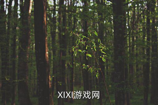 XIXI游戲網(wǎng)