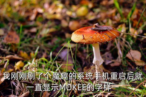 mokee，mokee能不能來個功能大雜燴
