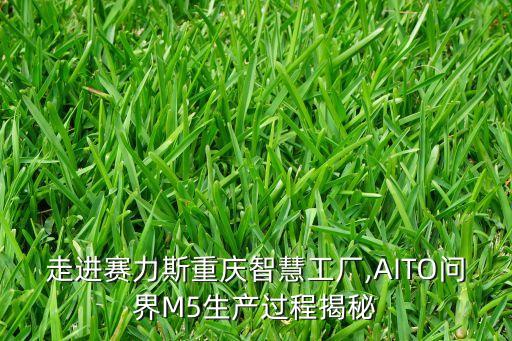 走進(jìn)賽力斯重慶智慧工廠,AITO問(wèn)界M5生產(chǎn)過(guò)程揭秘