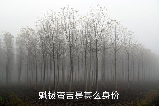 魁拔蠻吉是甚么身份