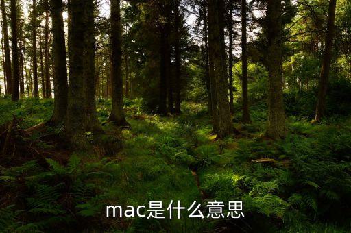 mac是什么意思
