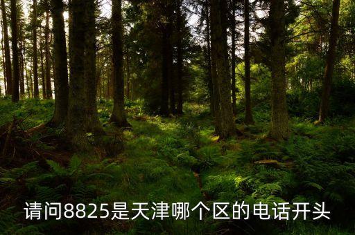 請問8825是天津哪個(gè)區(qū)的電話開頭