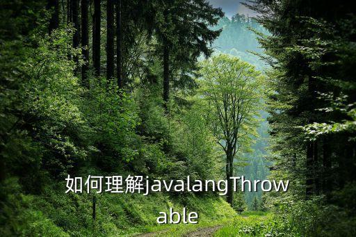 如何理解javalangThrowable