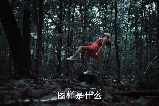 圖樣，圖樣的概念是什么