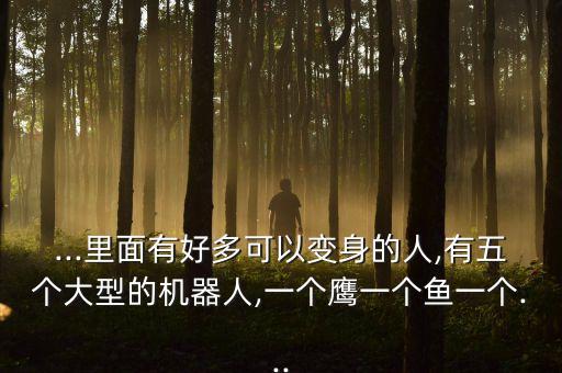 ...里面有好多可以變身的人,有五個大型的機器人,一個鷹一個魚一個...