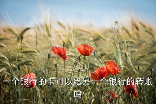 一個(gè)銀行的卡可以給另一個(gè)銀行的轉(zhuǎn)賬嗎