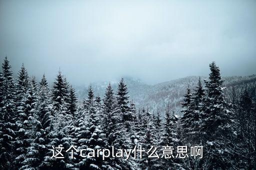 這個(gè)carplay什么意思啊