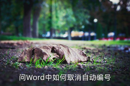 取消自動(dòng)編號(hào)，如何取消自動(dòng)編號(hào)