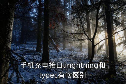 手機充電接口linghtning和typec有啥區(qū)別