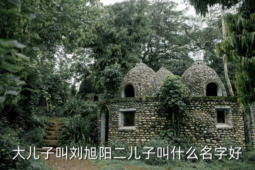 大兒子叫劉旭陽二兒子叫什么名字好