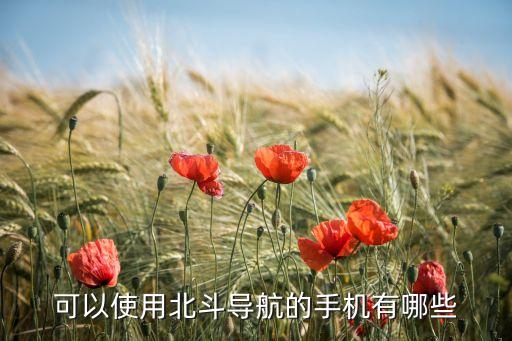 可以使用北斗導航的手機有哪些