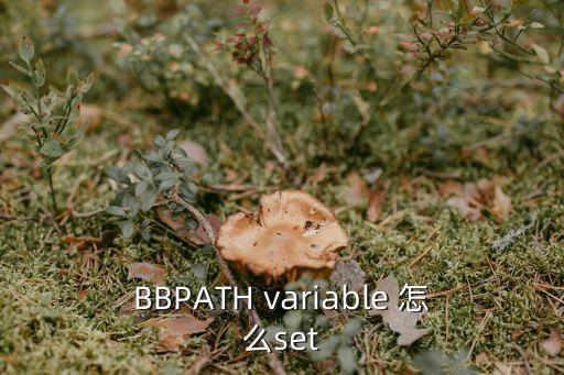 bitbake，bitbake 只能編譯linux 包嗎