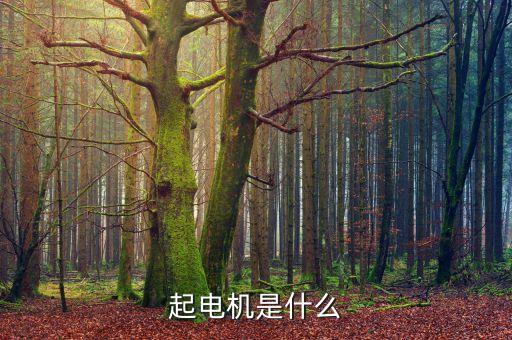 起電機(jī)是什么