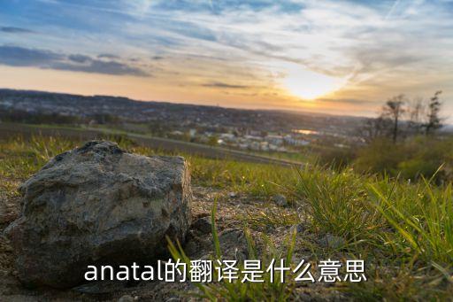 anatal的翻譯是什么意思