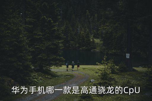 華為手機(jī)哪一款是高通驍龍的CpU