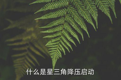 星三角，星三角是什么意思