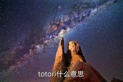 torus，tori是什么意思