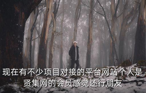 賢集網(wǎng)，電力電氣技術(shù)服務(wù)商哪里能找到群里介紹賢集網(wǎng)靠譜嗎