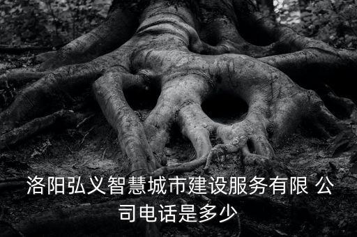  洛陽弘義智慧城市建設(shè)服務(wù)有限 公司電話是多少
