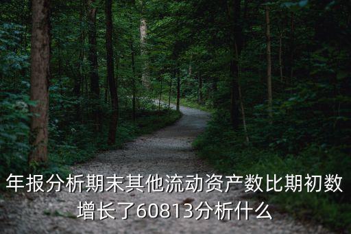 年報分析期末其他流動資產(chǎn)數(shù)比期初數(shù)增長了60813分析什么