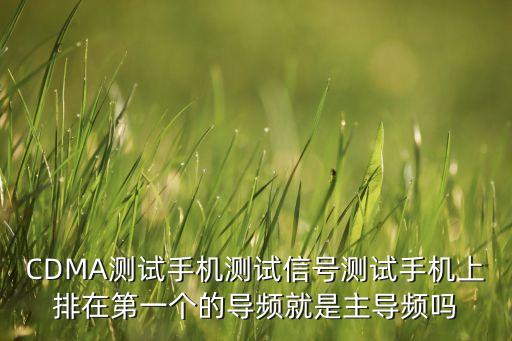 CDMA測(cè)試手機(jī)測(cè)試信號(hào)測(cè)試手機(jī)上排在第一個(gè)的導(dǎo)頻就是主導(dǎo)頻嗎