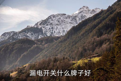 漏電開關(guān)什么牌子好